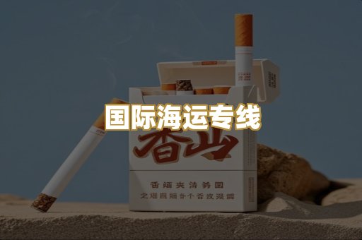 国际海运专线